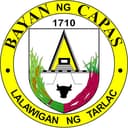 Capas seal